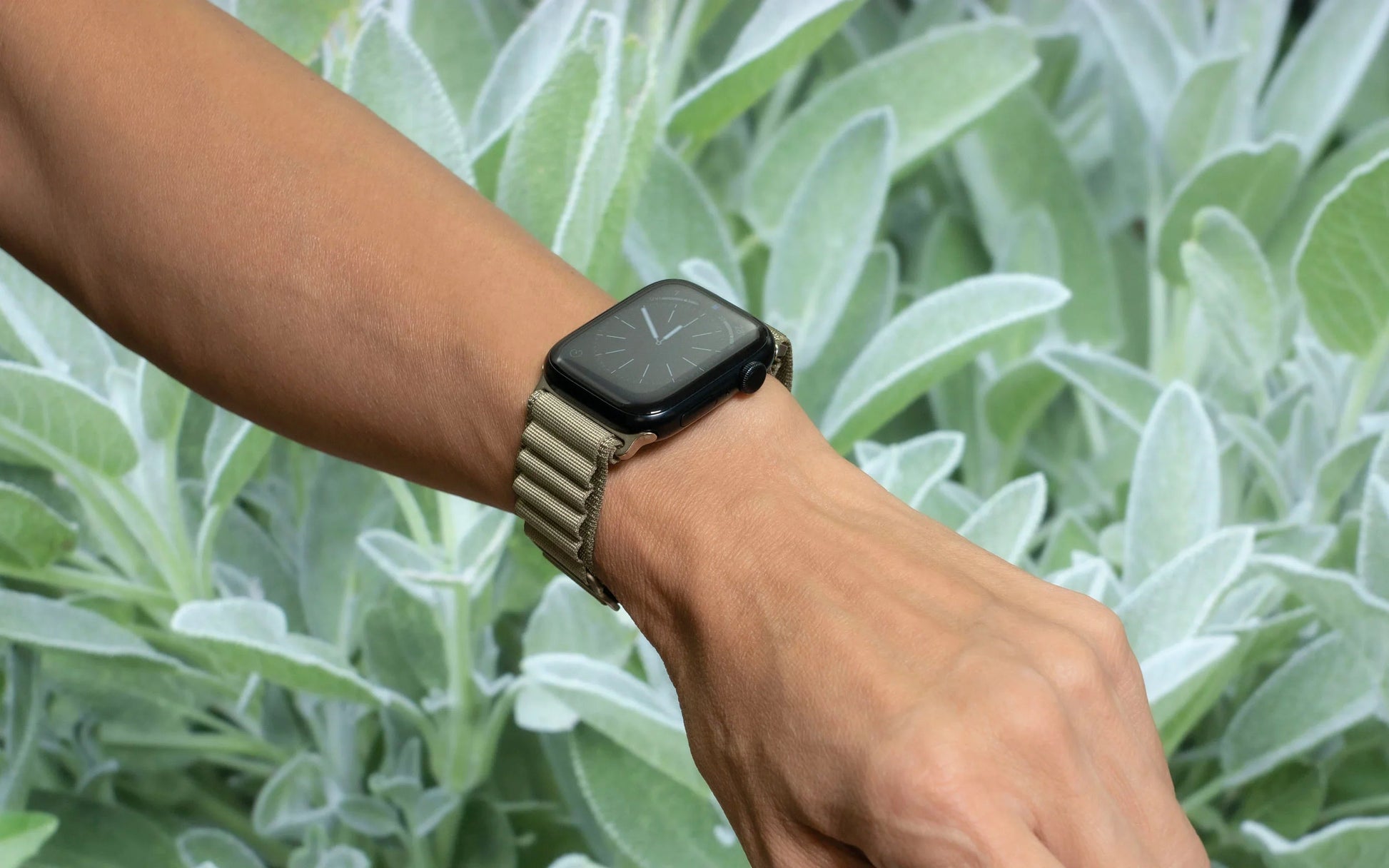 Apple Watch 49/46/45/44mm Torrii Solar Belt - Sage