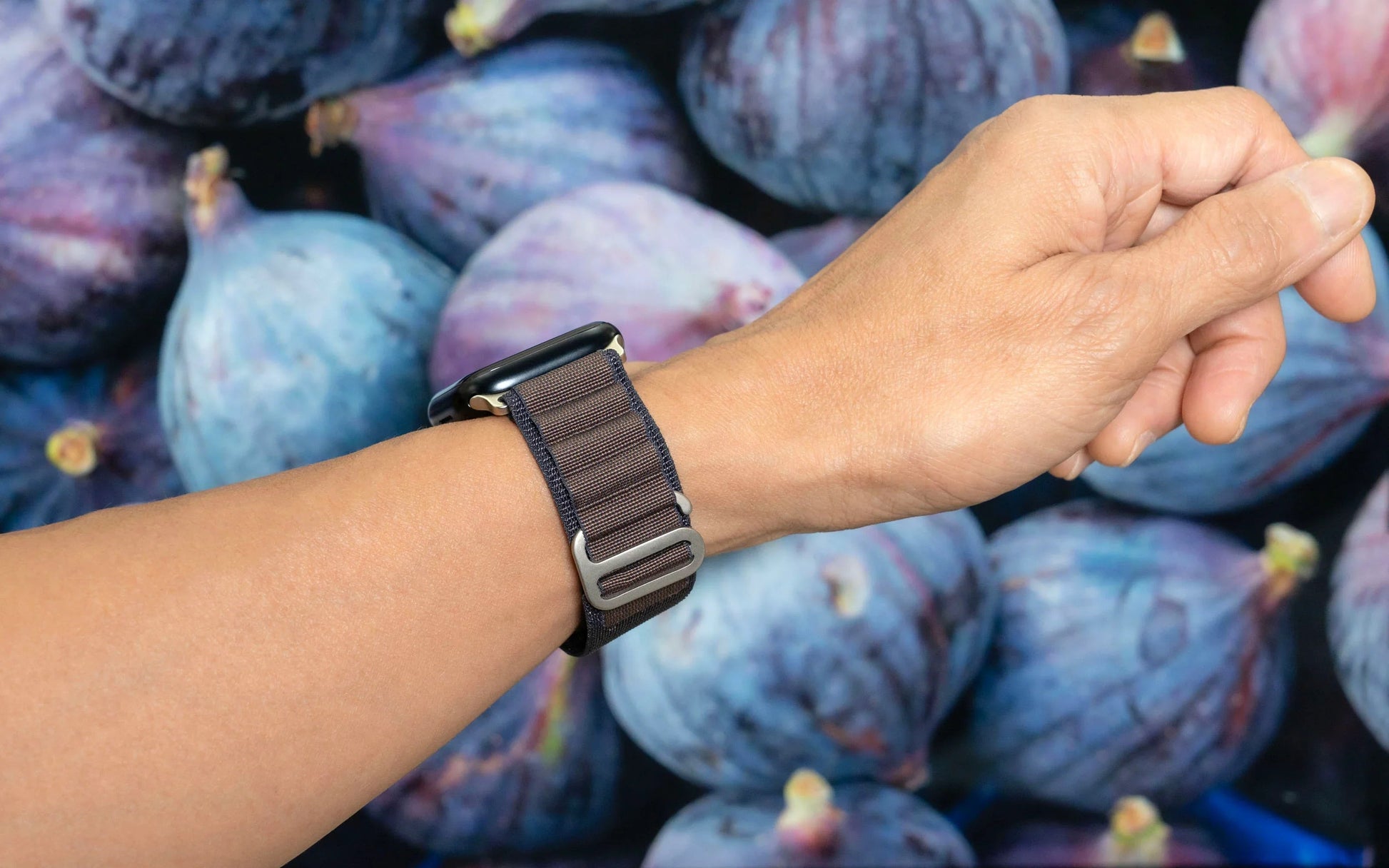 Apple Watch 49/46/45/44mm Torrii Solar Belt - Fig